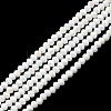 Electroplate Opaque Glass Beads Strands EGLA-F149-AB-02-1