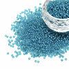 12/0 FGB Grade A Round Glass Seed Beads SEED-Q006-M21-1