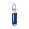 304 Stainless Steel Cubic Zirconia Pendants STAS-E487-21P-08-1