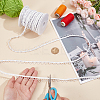 22.5 Yards Nylon Elastic Ribbons with Loops OCOR-BC0006-79-3