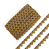 24Yards Filigree Polyester Lace Trim OCOR-GF0005-28C-1