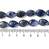 Natural Sodalite Beads Strands G-K357-A01-01-5