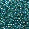 8/0 Round Glass Seed Beads SEED-J011-F8-178-2