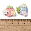 Resin Decoden Cabochons RESI-Q231-05-3