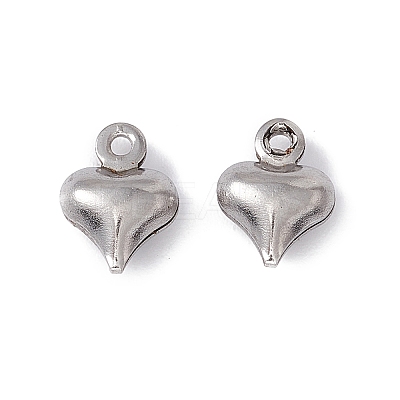 Non-Tarnish 304 Stainless Steel Charms STAS-G291-15P-1