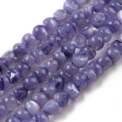 Natural White Shell Dyed Beads Strands BSHE-Z005-03C-1