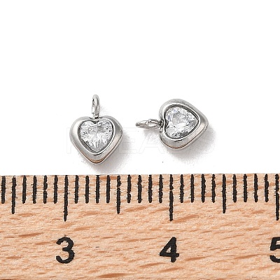 304 Stainless Steel Micro Pave Cubic Zirconia Pendants STAS-L022-396B-P-1