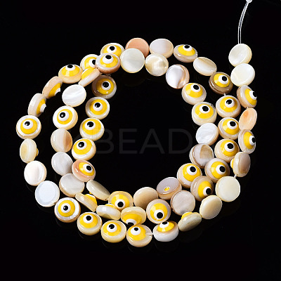 Natural Freshwater Shell Beads Strands SHEL-N003-15-1