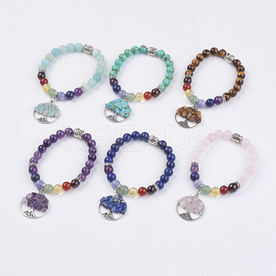 Chakra Jewelry Natural & Synthetic Mixed Stone Beads Charm Bracelet BJEW-JB03608-1