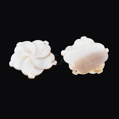 Natural Freshwater Shell Carved Pendants SHEL-N038-15-1