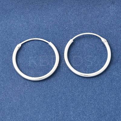 Brass Hoop Earrings EJEW-G474-01S-03-1