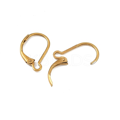 Ion Plating(IP) 304 Stainless Steel Leverback Earring Findings STAS-K233-04G-01A-1