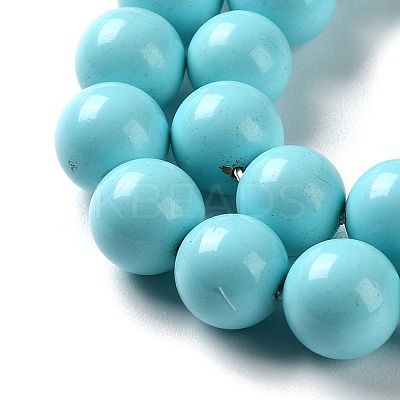 Shell Pearl Beads Strands SP8MM245-1