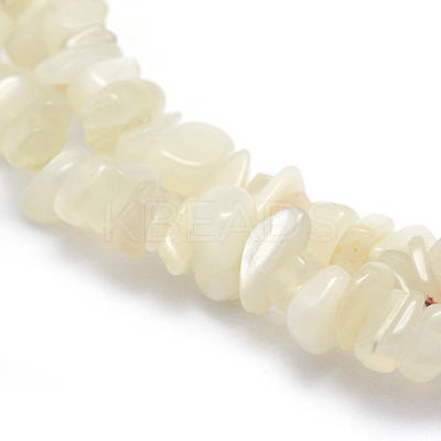 Natural White Moonstone Beads Strands X-G-P332-01-1