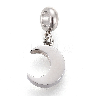Non-Tarnish 304 Stainless Steel Charms LS-STAS-F259-014P-1