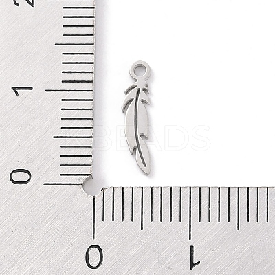 Non-Tarnish 304 Stainless Steel Charms STAS-K286-01G-P-1