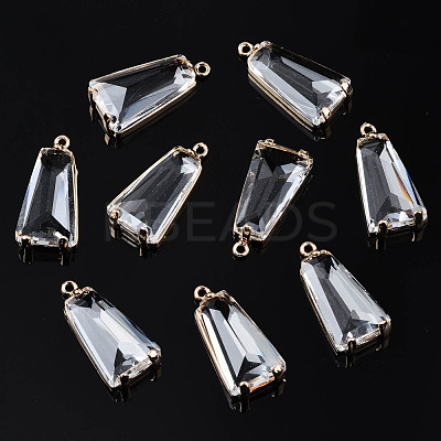 Transparent Glass Pendants X-GLAA-Q088-024B-1