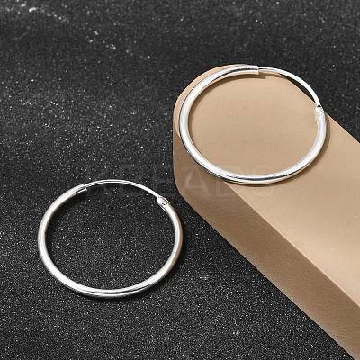 Brass Hoop Earrings EJEW-G474-01S-04-1