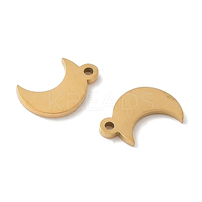 304 Stainless Steel Charms STAS-K306-17B-G-1
