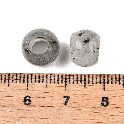 Natural Labradorite European Beads G-T092-10mm-30-1