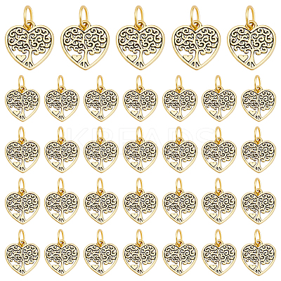 60Pcs Tibetan Style Alloy Pendants FIND-PH0024-06-1