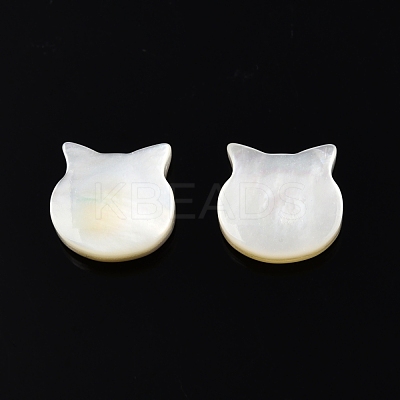 Natural White Shell Beads SSHEL-N003-142-1