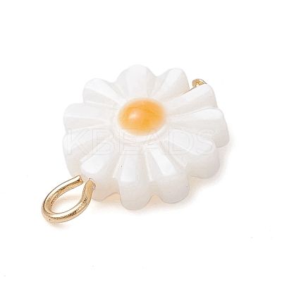 Natural Freshwater Shell Flower Charms with Golden Plated 304 Stainless Steel Loops PALLOY-JF02444-1
