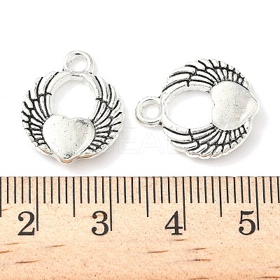 Tibetan Style Alloy Pendants FIND-B050-24AS-01-1