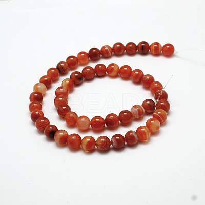 Natural Red Agate Bead Strands X-G-G880-05-6mm-1