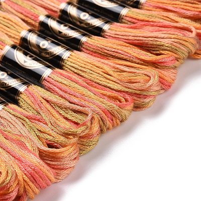 10 Skeins 6-Ply Polyester Embroidery Floss OCOR-K006-A24-1