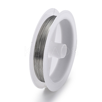 Non-Tarnish 10 Rolls 304 Stainless Steel Wire TWIR-H001-01B-P-1