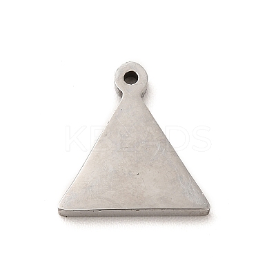 304 Stainless Steel Enamel Charms STAS-A078-08P-1