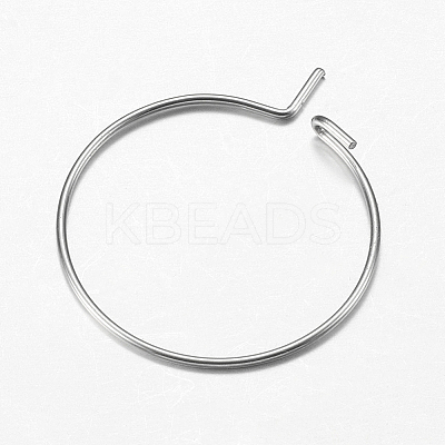 316 Surgical Stainless Steel Hoop Earrings Findings STAS-I097-050E-1