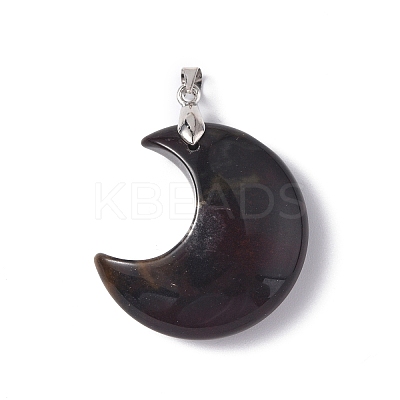 Natural Brecciated Jasper Pendants G-Z022-04E-1