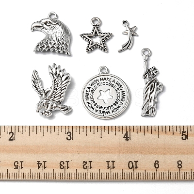 48Pcs 6 Styles Tibetan Style Alloy Pendants FIND-FS0001-49-1