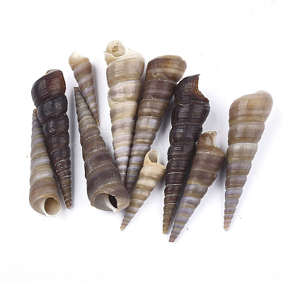 Spiral Shell Beads SSHEL-S258-34-1