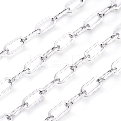 Tarnish Resistant 304 Stainless Steel Paperclip Chains CHS-D030-02P-1