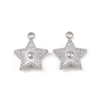 304 Stainless Steel Pendants STAS-I363-14P-1