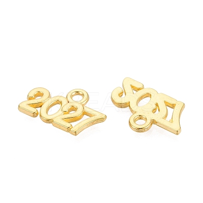 New Year's Day Alloy Charms FIND-N014-01G-1
