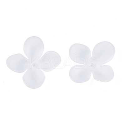 Transparent Acrylic Beads FACR-N005-003-1