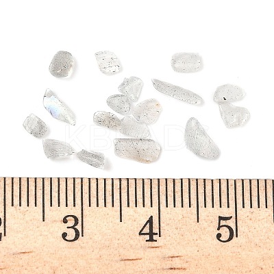 Natural Labradorite Beads G-I383-01-1