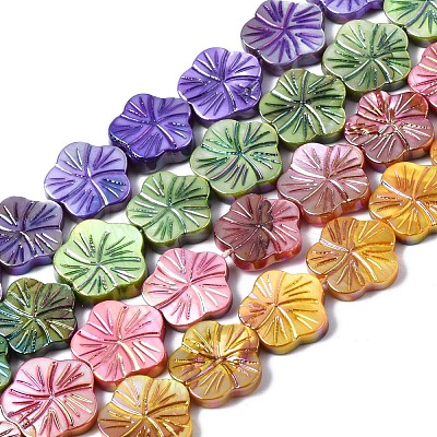 Natural Freshwater Shell Beads Strands SHEL-Q025-002-1
