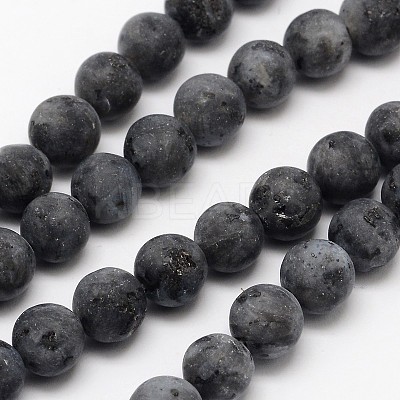 Natural Larvikite Beads Strands G-D692-10mm-1
