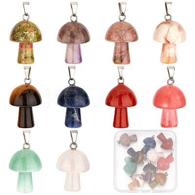 10Pcs 10 Style Natural & Synthetic Gemstone Pendants G-SC0001-79-1