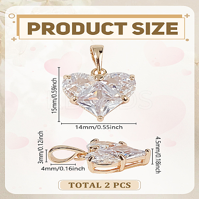 2Pcs Brass Pave Cubic Zirconia Charms ZIRC-LP0001-36-1