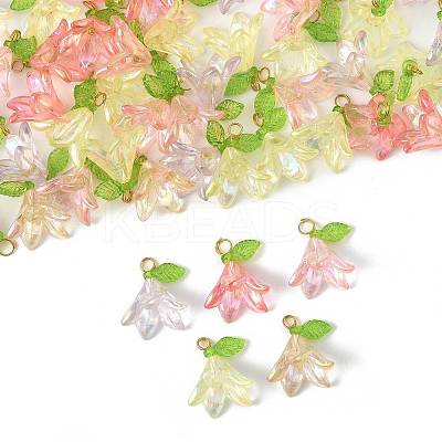 50Pcs Transparent Acrylic Pendants PALLOY-FS00043-04-1