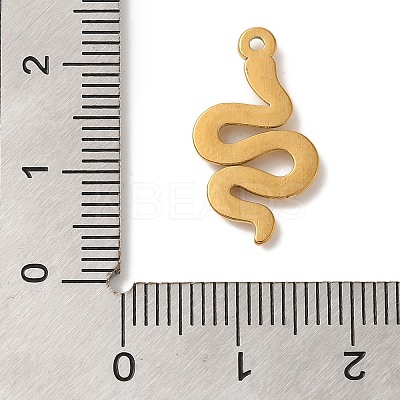 Ion Plating(IP) 304 Stainless Steel Pendants STAS-C110-06G-1