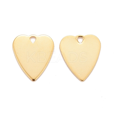 201 Stainless Steel Pendants STAS-K21-68A-G-1