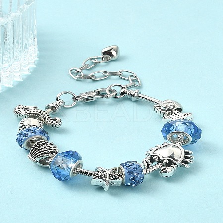 DIY Eurpean Bracelet Making Kit DIY-YW0007-88-1