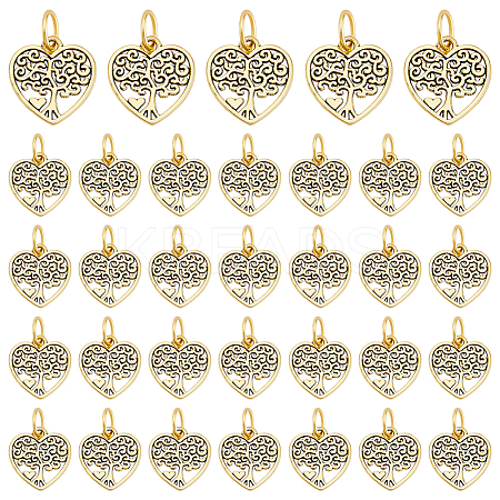 60Pcs Tibetan Style Alloy Pendants FIND-PH0024-06-1